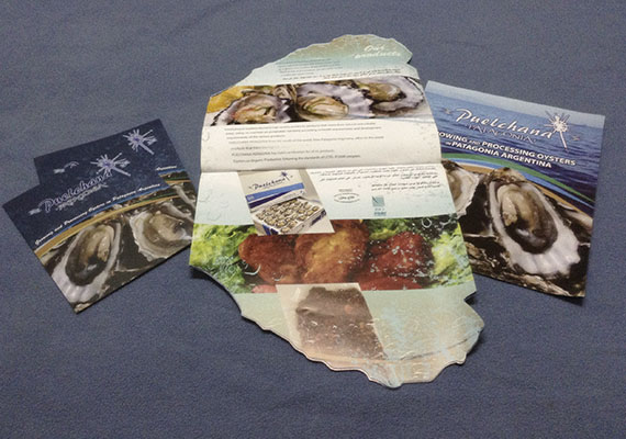 Diseño y producción de folleto tríptico y brochure de 8 páginas, ambos bilingüe (inglés/árabe) para Puelchana Patagonia, presentados en la Expo Dubai.