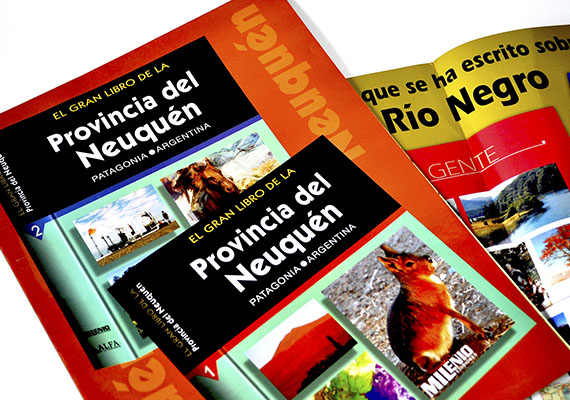 Desarrollo y diseño de folleto sobre libro para editorial Milenio.