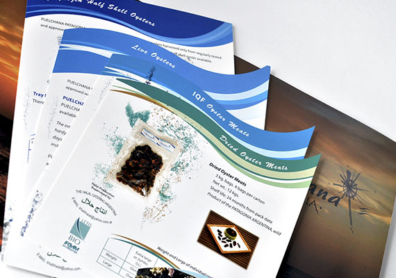 Fichas técnicas del interior de la carpeta de presentación de los productos de Puelchana Patagonia, para Expo Dubai.