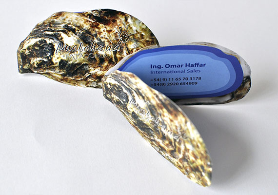 Diseño y producción de tarjetas personales para Puelchana Patagonia.