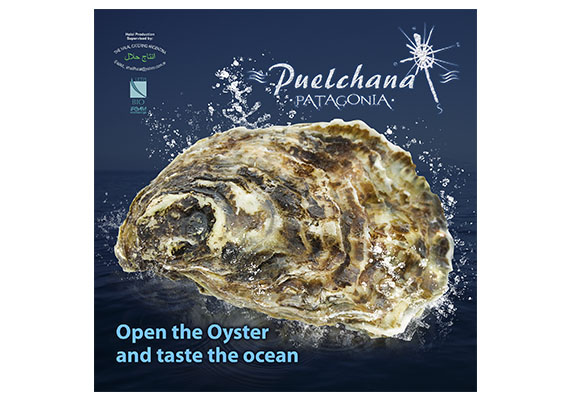 Sobre contenedor de Brochure para Puelchana Patagonia, para Expo en Dubai.